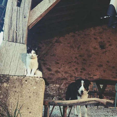 La Glane At Le Maingaud Hébergement de vacances