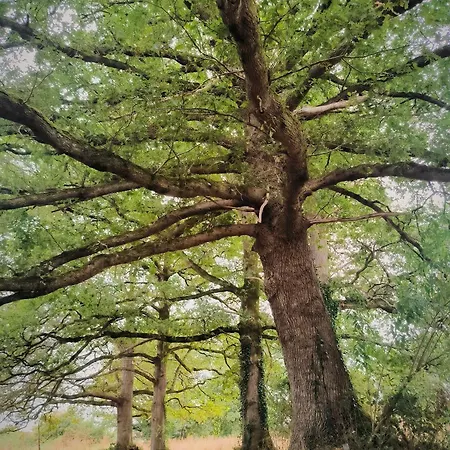 La Glane At Le Maingaud Hébergement de vacances *