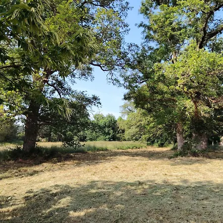 Hébergement de vacances La Glane At Le Maingaud