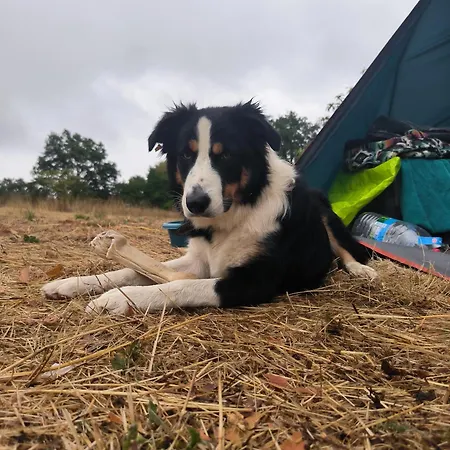 La Glane At Le Maingaud Hébergement de vacances *