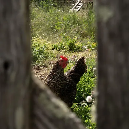 Hébergement de vacances La Glane At Le Maingaud Saulgond