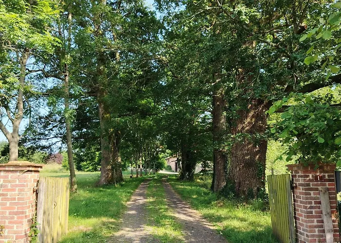 La Glane At Le Maingaud Saulgond