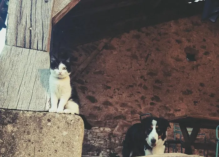 La Glane At Le Maingaud Сasa de vacaciones