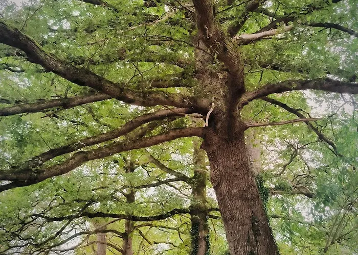 La Glane At Le Maingaud Сasa de vacaciones *