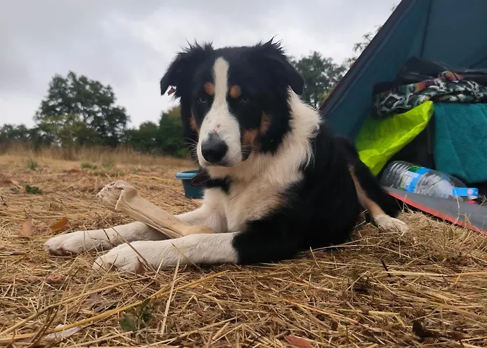 La Glane At Le Maingaud Сasa de vacaciones *