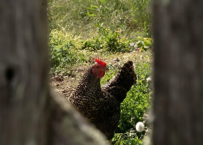 Сasa de vacaciones La Glane At Le Maingaud Saulgond